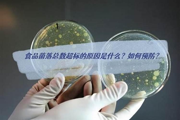 什么是氨氮？水产养殖氨氮产生、超标危害及检测控制