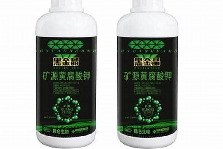 生姜种植怎么用肥？生姜用黑金晶矿源黄腐酸钾做底肥效果怎么样？
