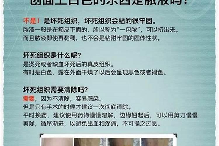 磷钾肥自制不臭的方法