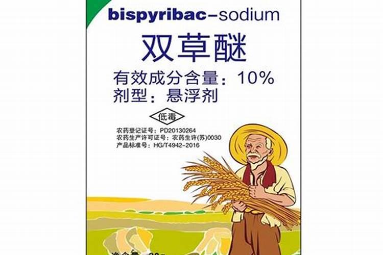 稻田稗草用什么除草剂,水稻和稗草是竞争关系吗