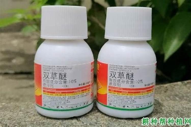 野草长的比庄家还高怎么除草呢