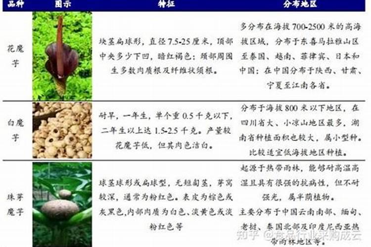 魔芋整个周期用什么肥料？