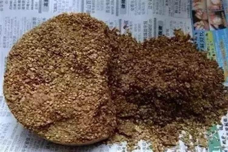 芝麻饼能直接放土里施肥吗