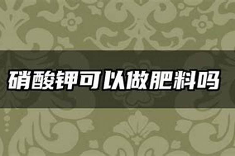 兰花需要施什么肥料