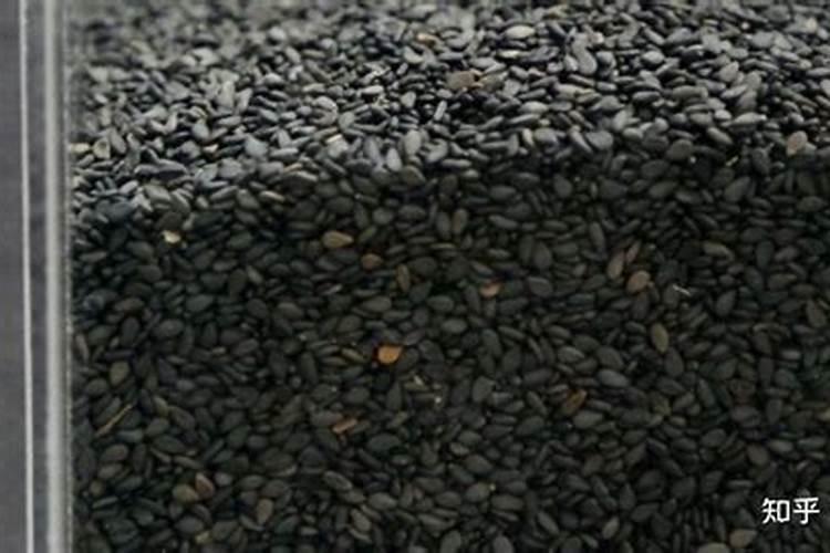 怎样确定芝麻是否需要施用钾肥？