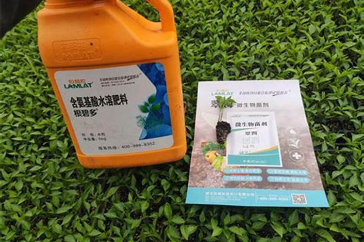 玉米田能用硫酸钾复合肥吗