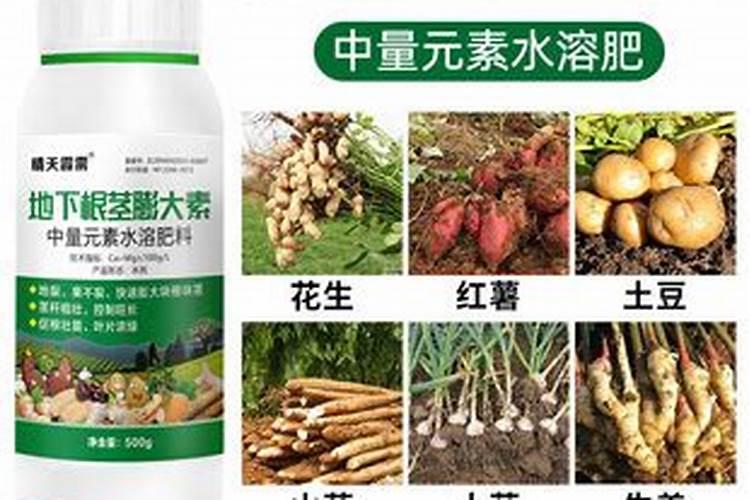 地下根茎块茎作物如何快速膨大？地下果实膨大增长小妙招!