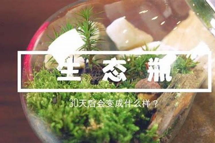 植物缺氮,缺磷,缺钾各表现出的现象是怎样的？
