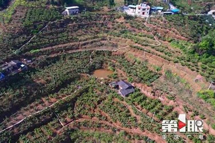 水稻什么时候撒肥最好