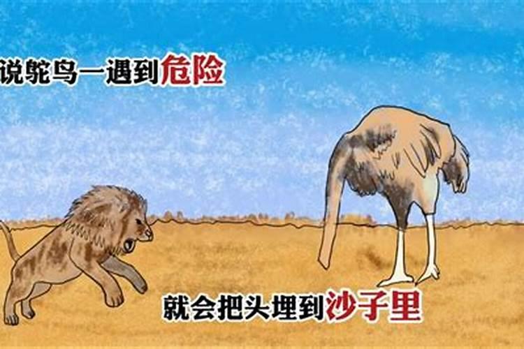 氮肥损失途径有哪些？