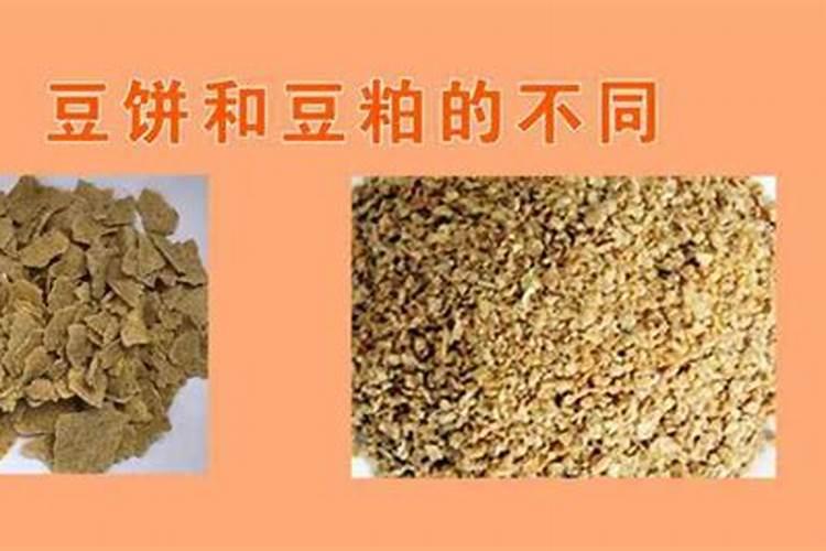 种生姜用什么肥料好