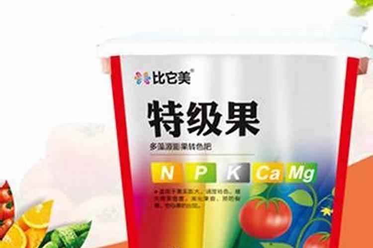 月季花施什么肥料好