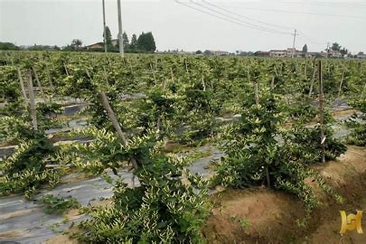 生产水溶肥需要办理哪些证件手续合法