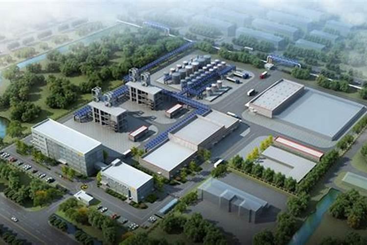 樱花苗木价格多少钱一棵？樱花如何种植？