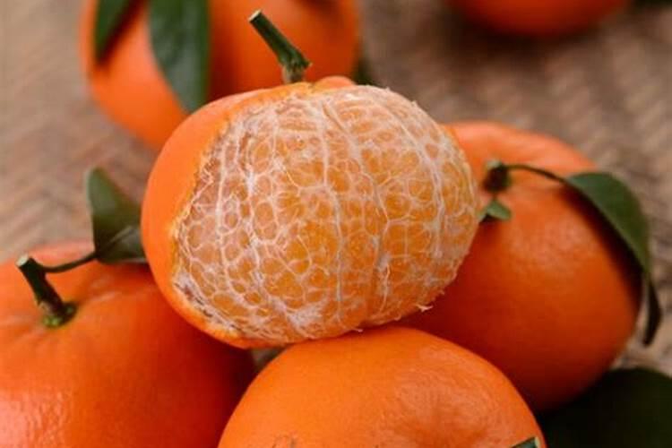 盆栽橘子用什么肥