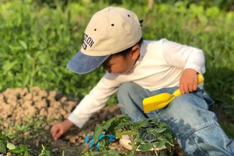 氮肥养花一克用多少水兑