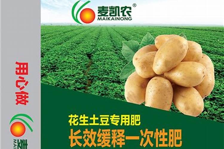 怎样种花生才能种得好;泡花生芽的好方法