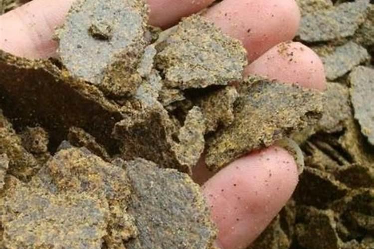 饼肥是氮肥还是钾肥