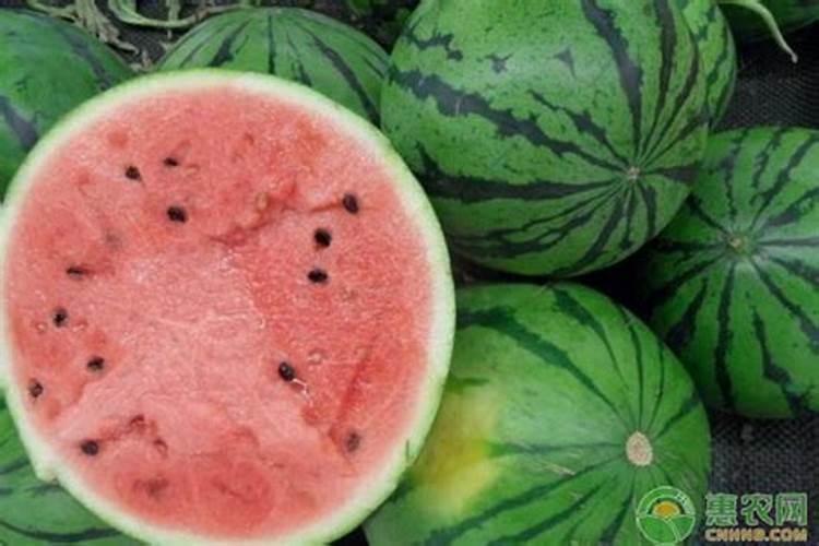 西瓜用什么肥料好