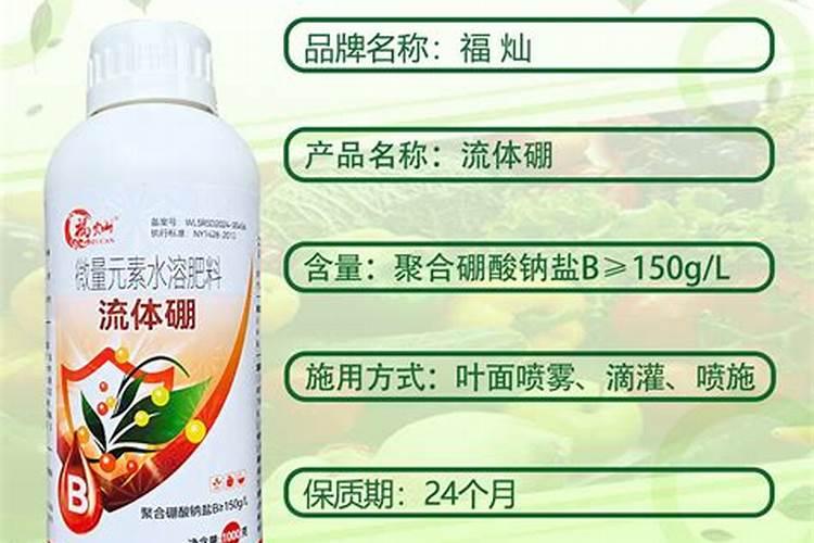 什么肥促进花芽分化;什么肥料能让根系快速生长