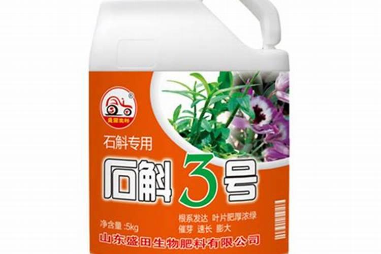 石斛兰如何养护花箭蹭蹭冒