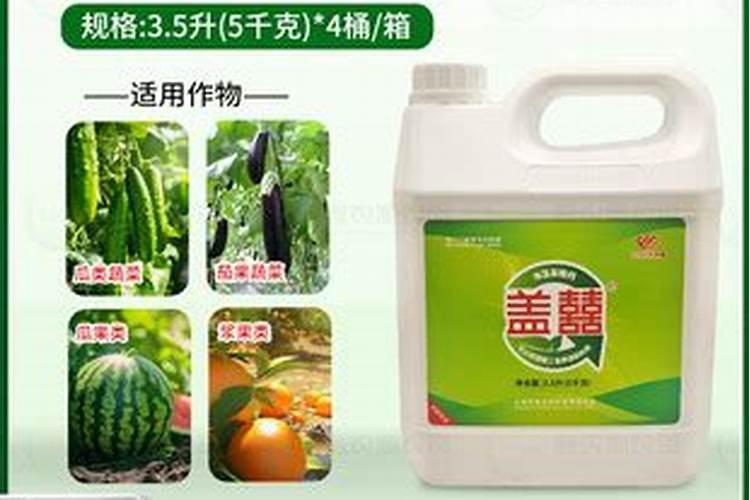 金钻需要用什么肥