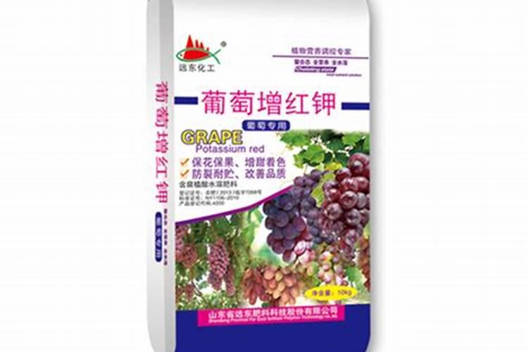 葡萄打完红药什么时候浇水施肥