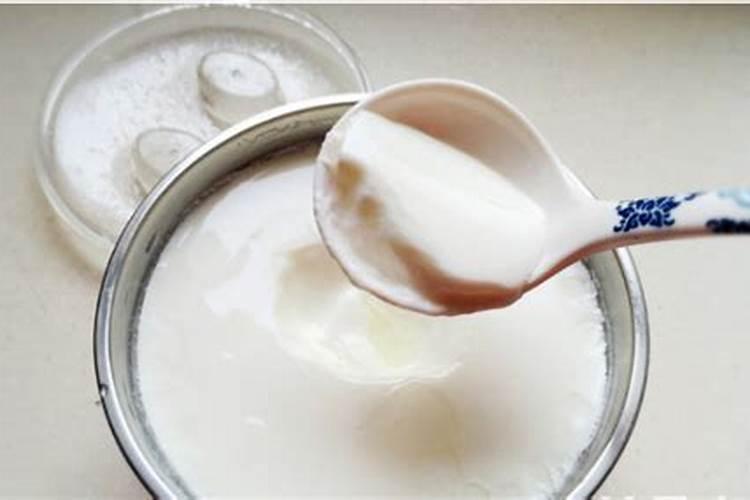 过期的酸奶可以浇花吗没事吗(过期的酸奶可以浇月季和君子兰吗)