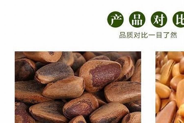 ...吃起来有点变质,我想问过期的松子可不可以用作花肥