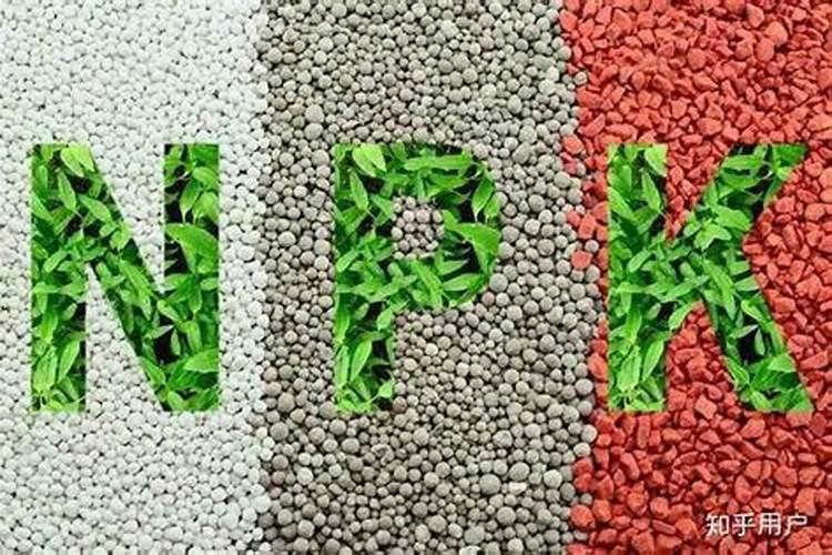 怎么防止茄子开裂？种茄子施什么肥好？