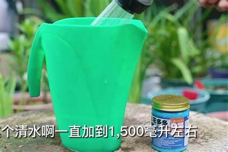 柿饼发霉了怎么办