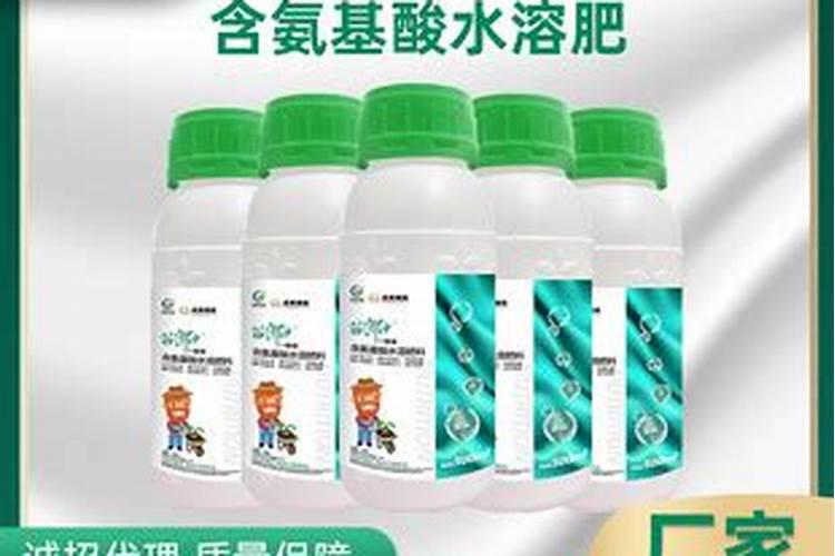 玫瑰花怎样种植