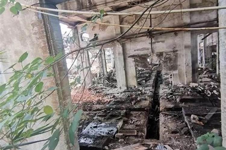 三线建设的工厂有多少倒闭了