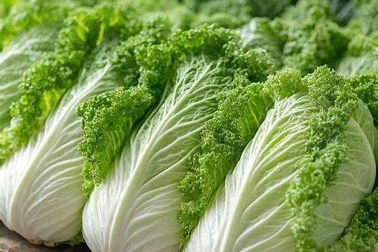 果树施什么肥好