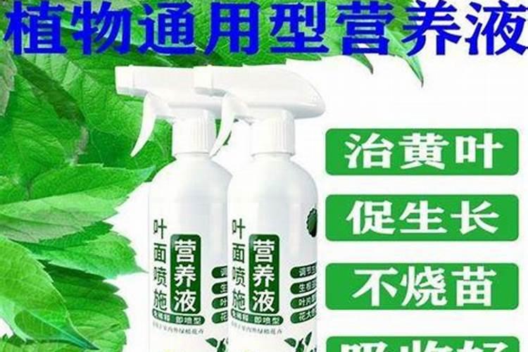 玉米上喷大量元索水溶肥好还是氨基酸水溶肥好