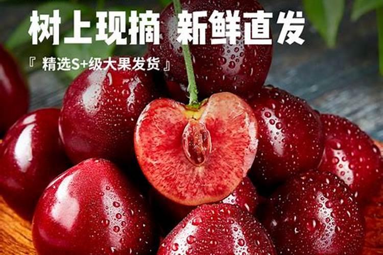 打籽西葫芦怎么种才结的多 打籽西葫芦如何种才结的多