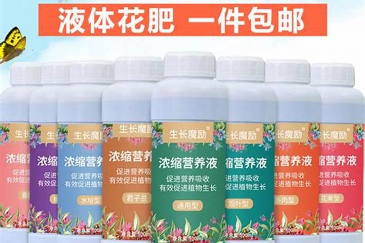 自制万能花肥营养液