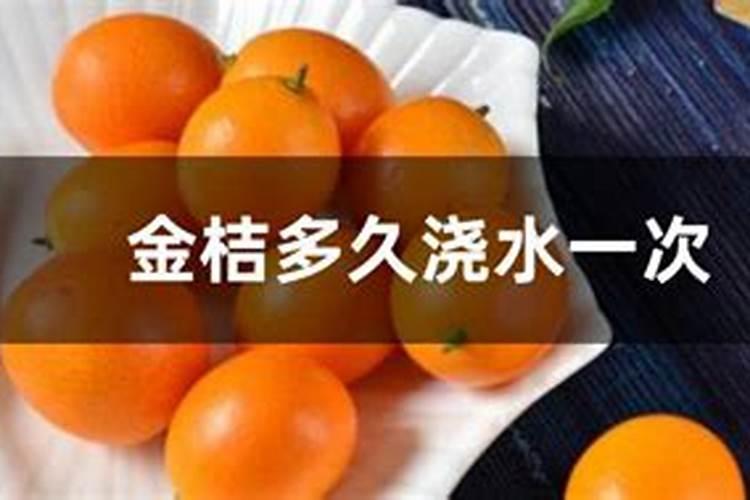 金桔树施肥时间和方法