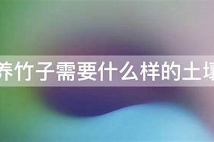 竹子施肥用什么肥料