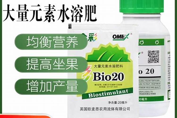 大青枣膨果期管理要点 大青枣应怎么施肥