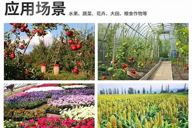 老是买到假的那7种肥料都是啥,如何才能不踩坑？