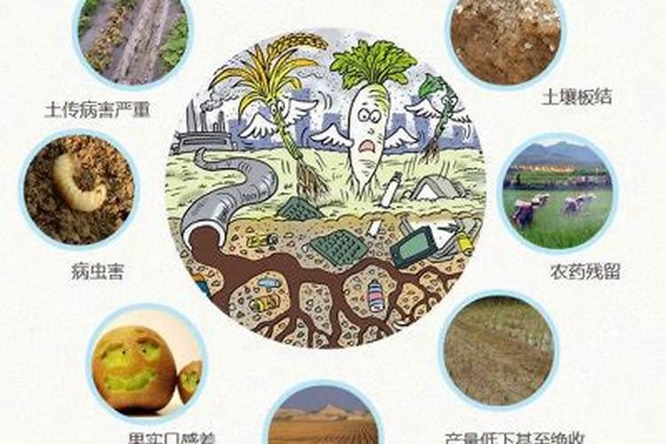 合成氨和尿素内容简介