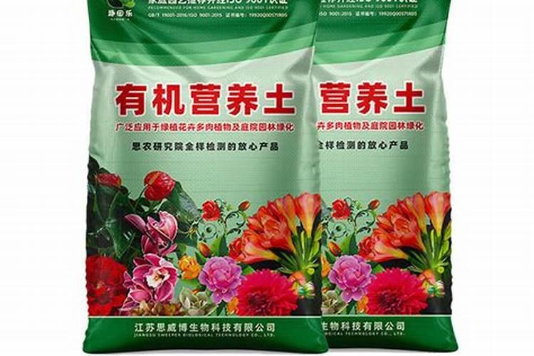 水葫芦的养殖方法和注意事项