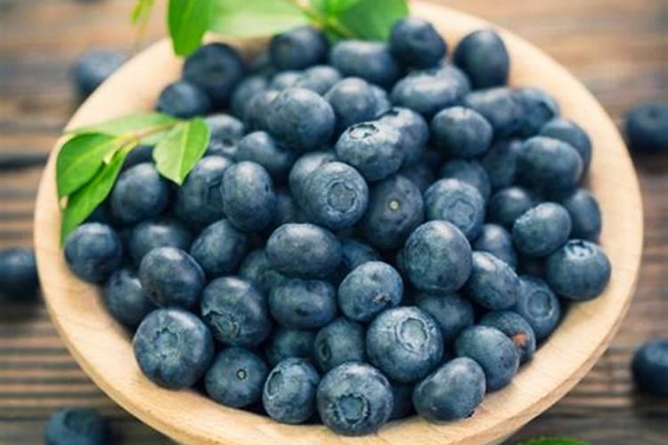 用自制的鱼蛋白浇果树要稀释多少