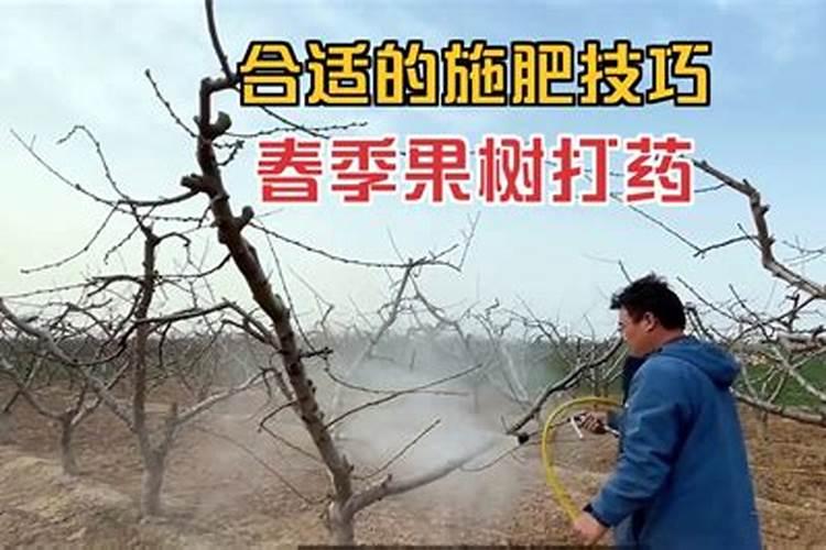 开花期桃树可以施肥吗