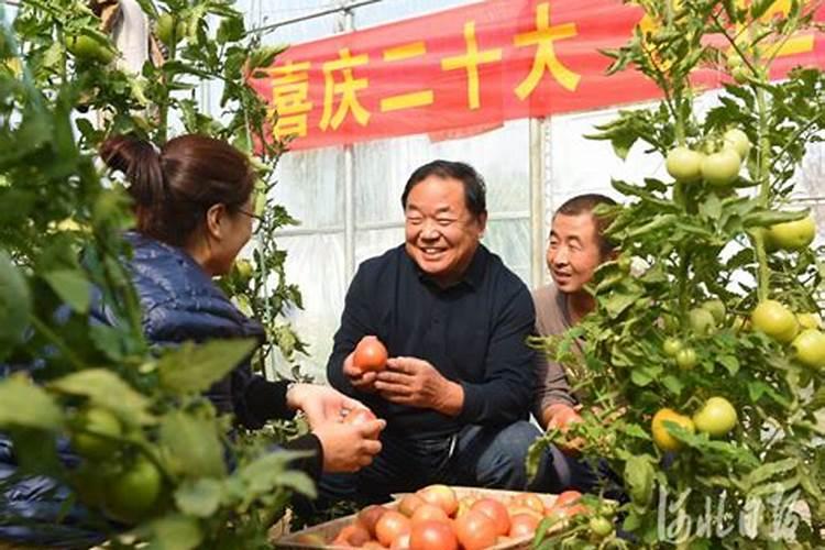 云南纵横肥料主要生产哪些肥料