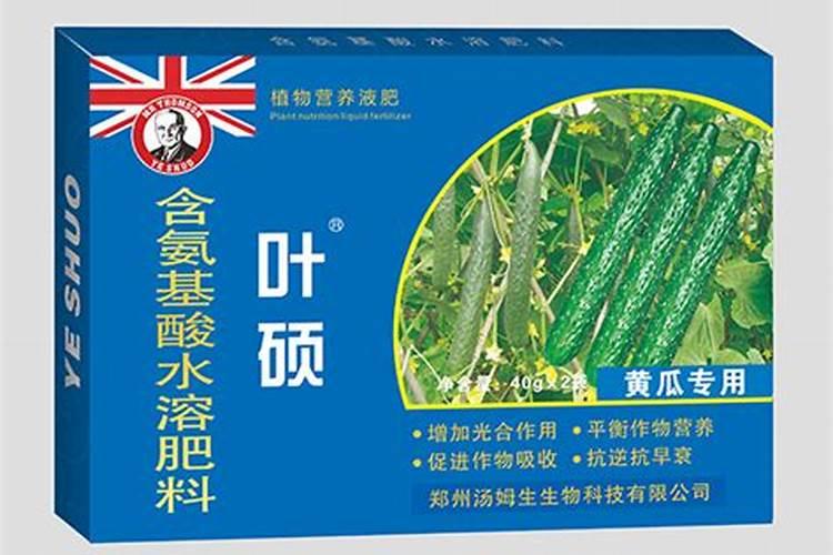 绿萝施肥怎么施(绿萝施肥的正确方法)