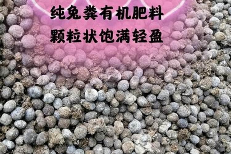 兔子粪便可以当肥料吗