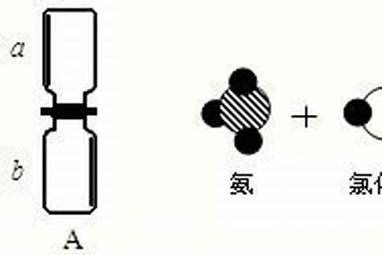 初步区分常用氮肥、磷肥、钾肥的方法是什么