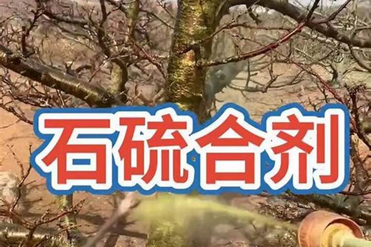 果树施硼肥怎么操作？果树施硼肥有什么用？